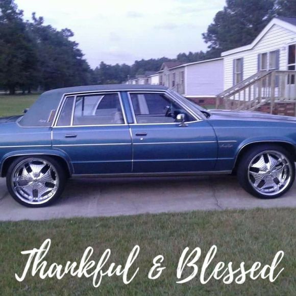 Meet your Posher, Rodney - Picture 1 of 1